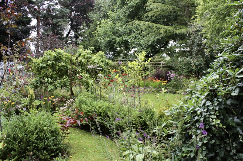 Ivy House